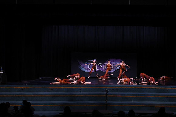 DSD_8144