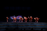 DSD_8133
