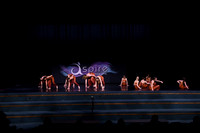 DSD_8135