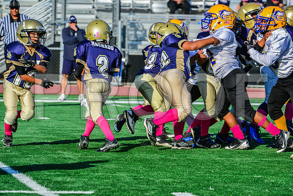Mighty Mites Elk Grove Herd-1