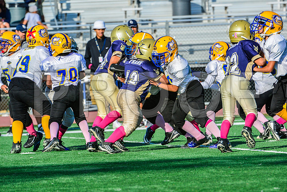 Mighty Mites Elk Grove Herd-12