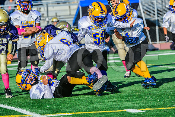 Mighty Mites Elk Grove Herd-7