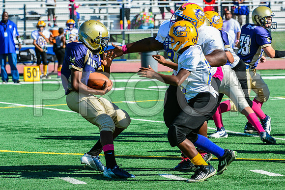 Jr Midgets Elk Grove Herd-3