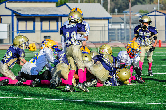 Mighty Mites Elk Grove Herd-27