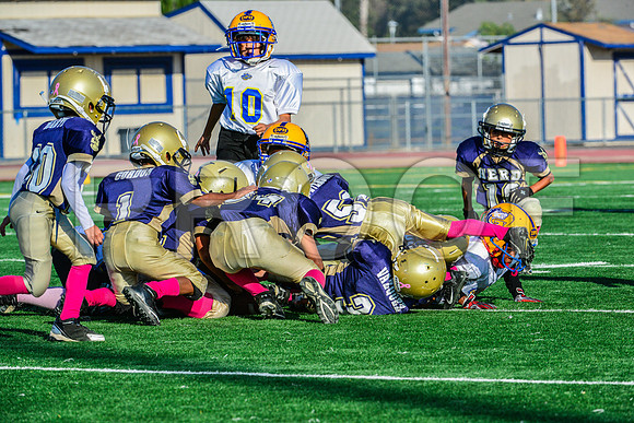 Mighty Mites Elk Grove Herd-26