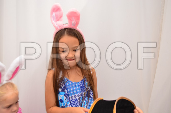 2015-5-31-0017-3