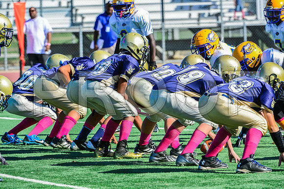 Jr Midgets Elk Grove Herd-9