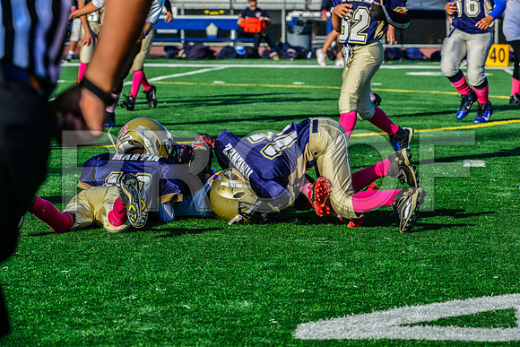 Mighty Mites Elk Grove Herd-16