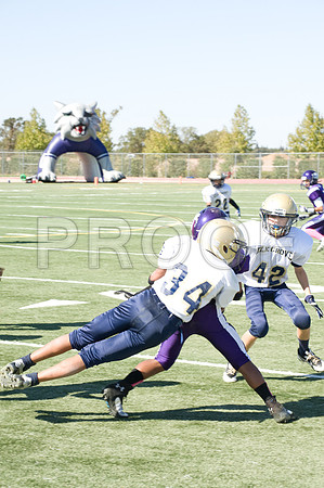 DSC_3705-Proof