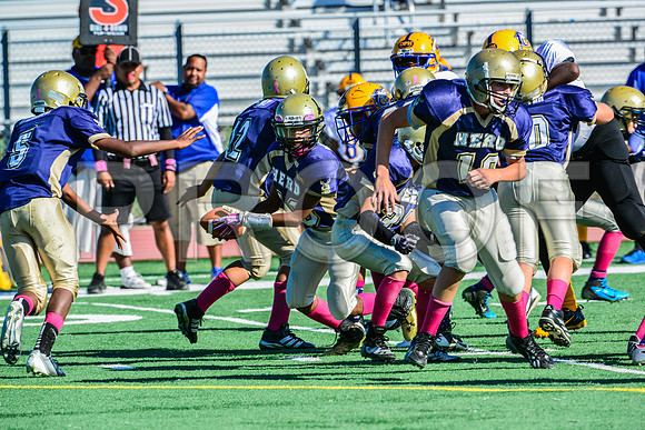 Jr Midgets Elk Grove Herd-15
