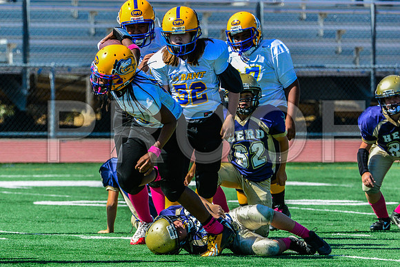 PEE WEE Elk Grove Herd-12