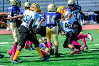 PEE WEE Elk Grove Herd-10