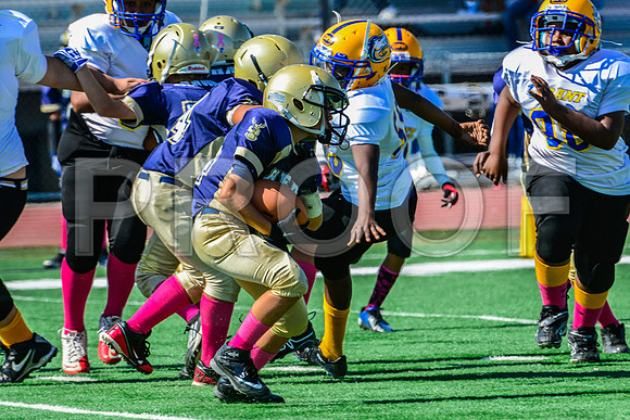 PEE WEE Elk Grove Herd-5