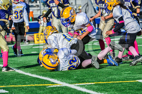 Mighty Mites Elk Grove Herd-8