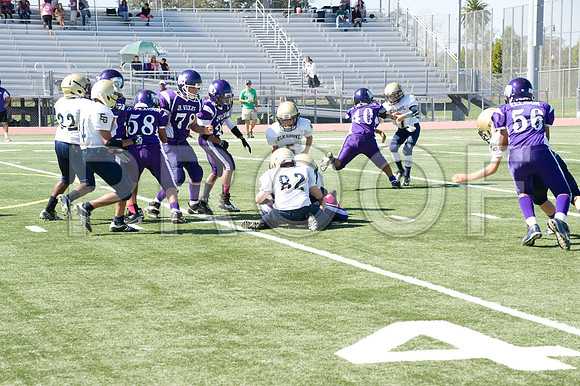 DSC_3296-Proof