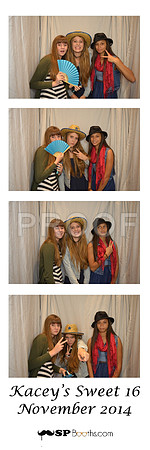 2014-11-15-0008