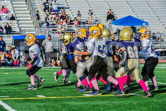 Mighty Mites Elk Grove Herd-17