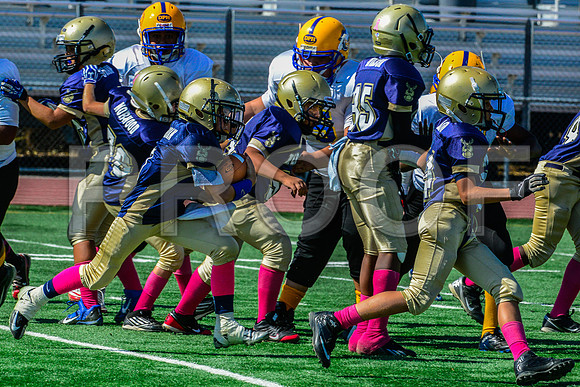 PEE WEE Elk Grove Herd-7