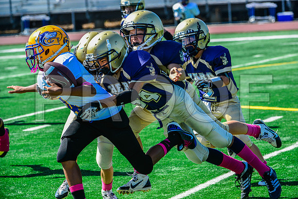 PEE WEE Elk Grove Herd-13