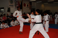 MSP_1563