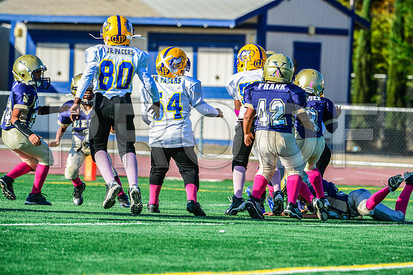 Mighty Mites Elk Grove Herd-28