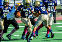 Jr Midgets Elk Grove Herd-7