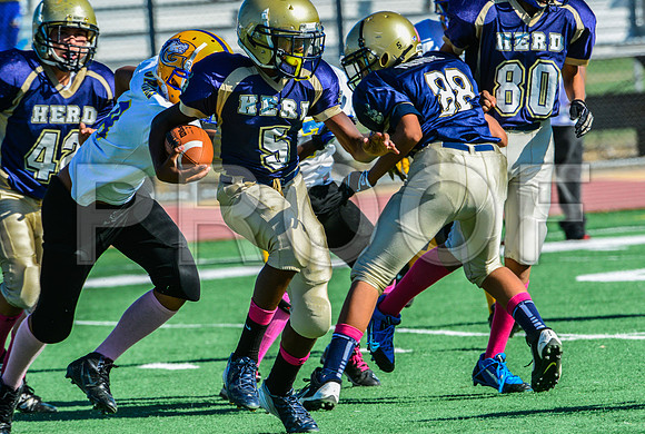 Jr Midgets Elk Grove Herd-7