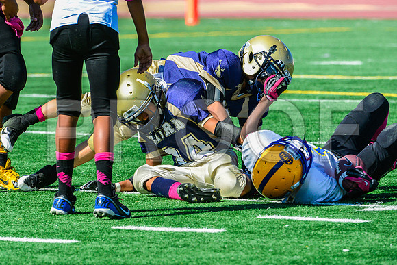 PEE WEE Elk Grove Herd-32