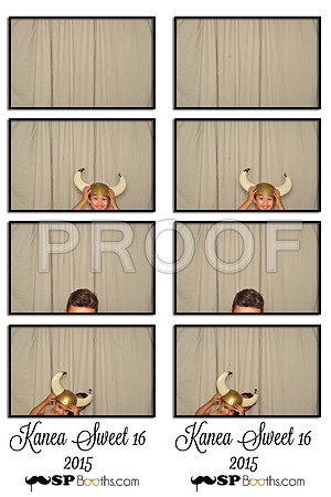 2015-7-19-0021-d