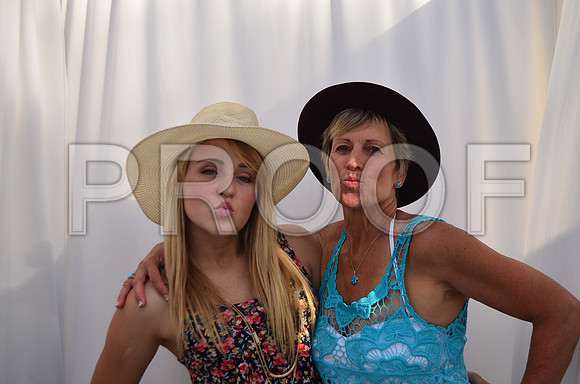 2015-5-31-0051-2