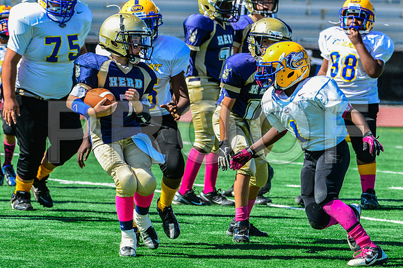 PEE WEE Elk Grove Herd-9