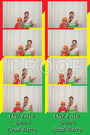 2013-6-7-0010-d