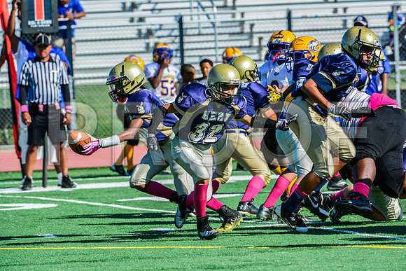 Jr Midgets Elk Grove Herd-5