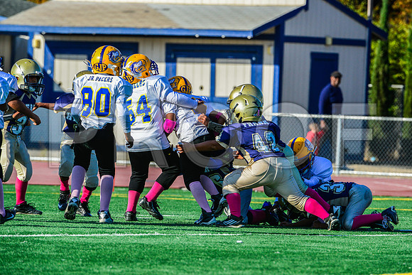 Mighty Mites Elk Grove Herd-29