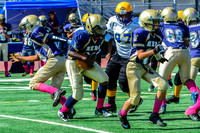 PEE WEE Elk Grove Herd-17