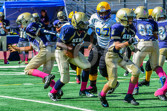PEE WEE Elk Grove Herd-17