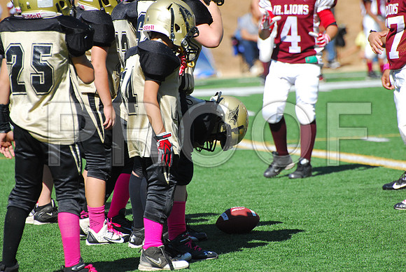 LND_4597
