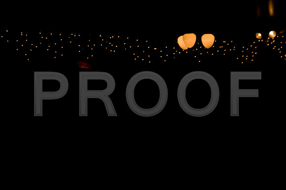 DSC_1379-Proof