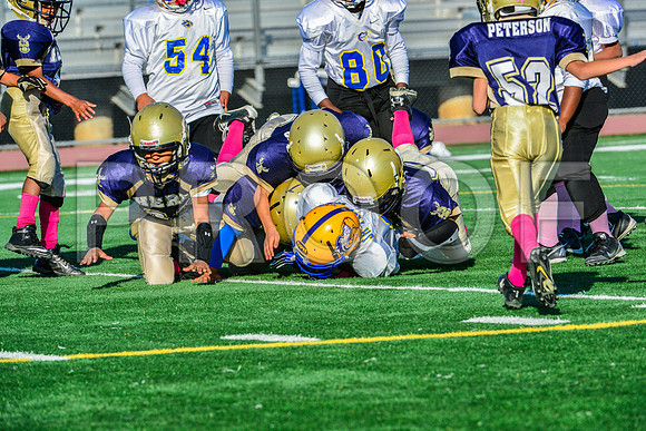 Mighty Mites Elk Grove Herd-20