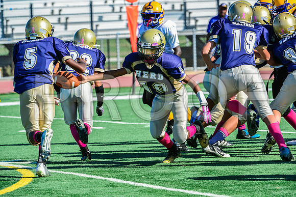 Jr Midgets Elk Grove Herd-12