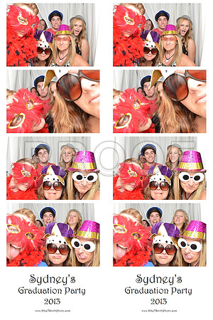 2013-6-1-0028-d