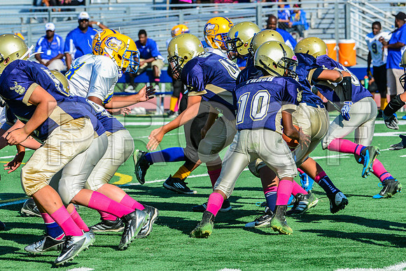 Jr Midgets Elk Grove Herd-59