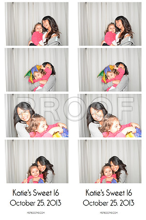 2013-10-25-0045-d