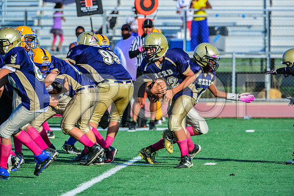 Jr Midgets Elk Grove Herd-129