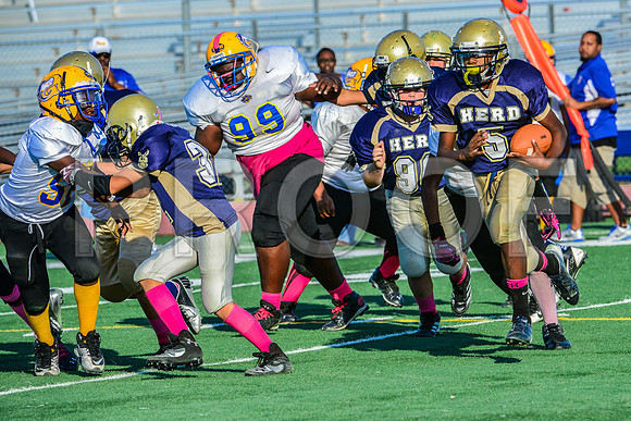 Jr Midgets Elk Grove Herd-167
