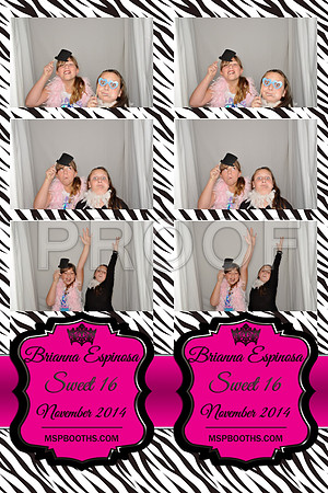 2014-11-8-0061-d