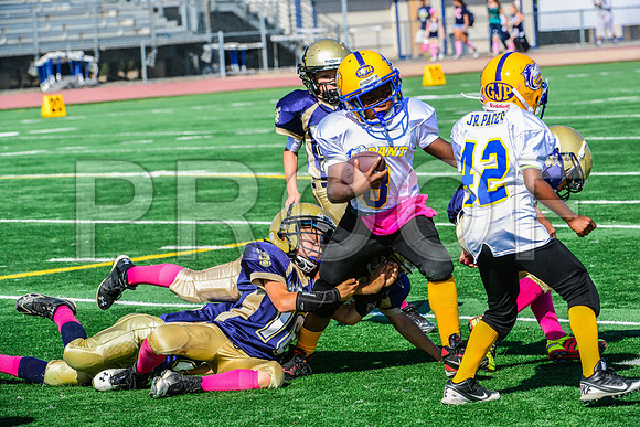 JR PEE WEE Elk Grove Herd-19