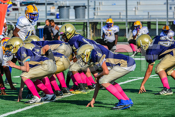 Jr Midgets Elk Grove Herd-151