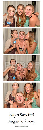 2013-8-16-0061