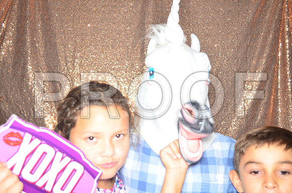 2017-8-26-0039-3